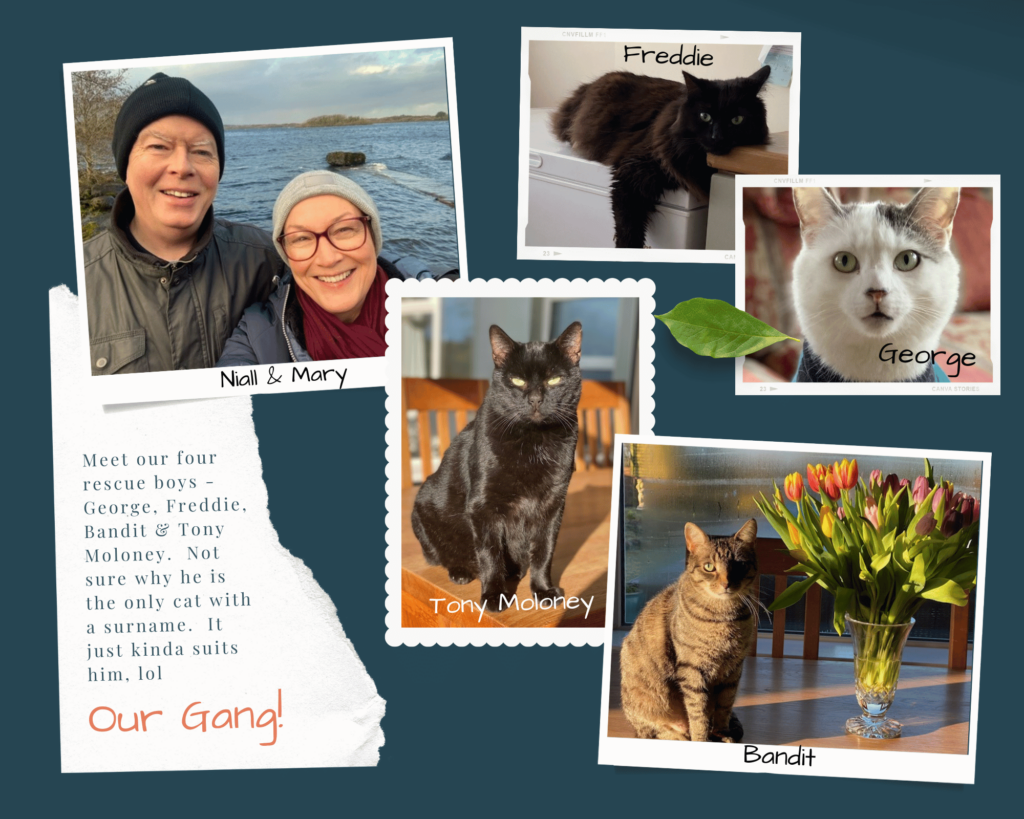 photo collage of the artist and husband, with her four rescue cats