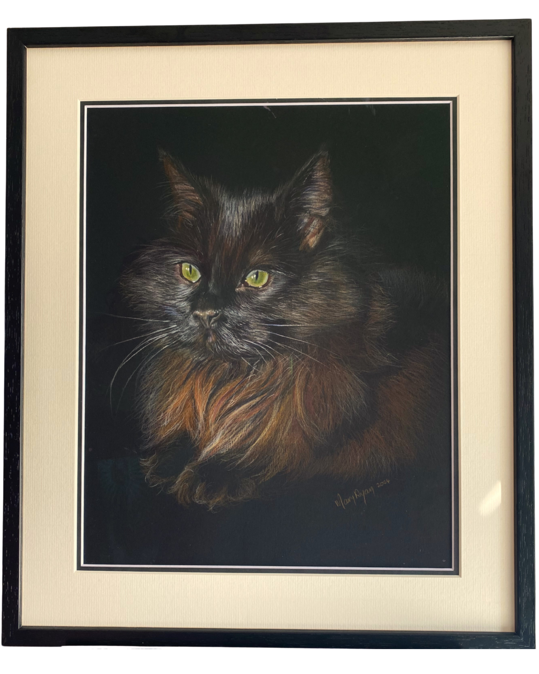 Irish pet portrait of black cat