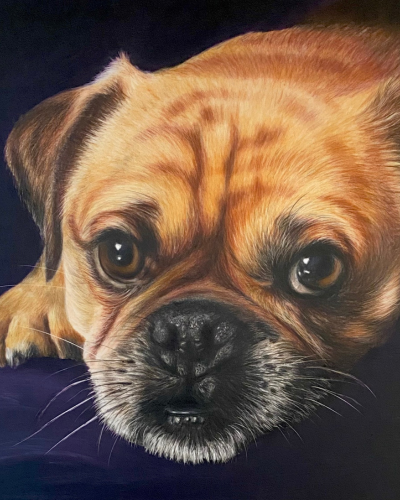 pet portraits ireland