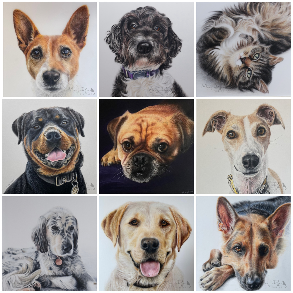 nine pet portraits by Mary Ryan