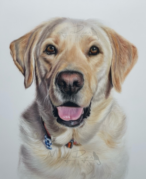 Irish pet portrait